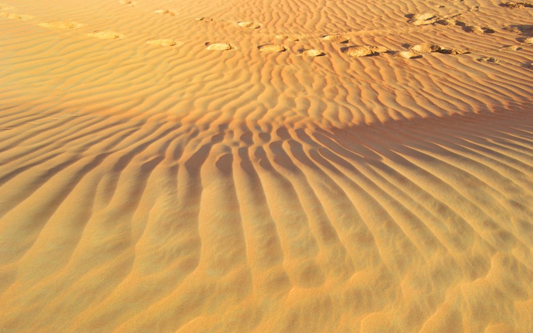 Dubai, United Arab Emirates